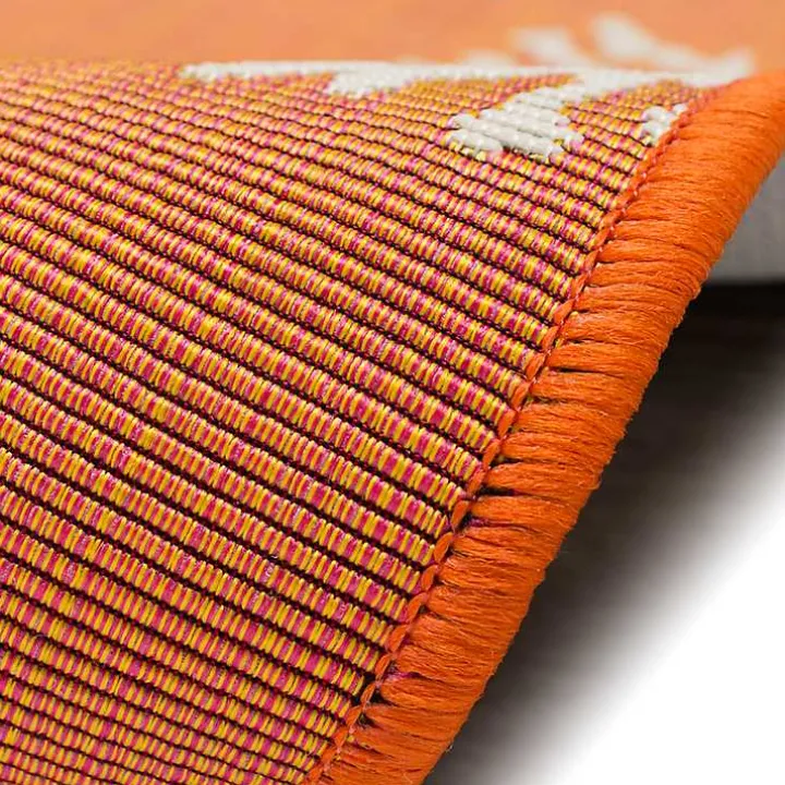 Orange Coral Indoor/Outdoor Rug, 3x4