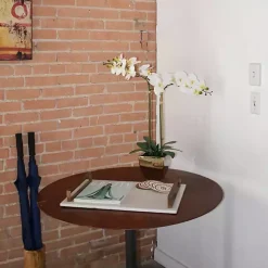 Orchid Arrangement in Gold Pot