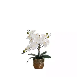 Orchid Arrangement in Gold Decorative Pot