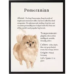 Pomeranian Facts Framed Wall Plaque