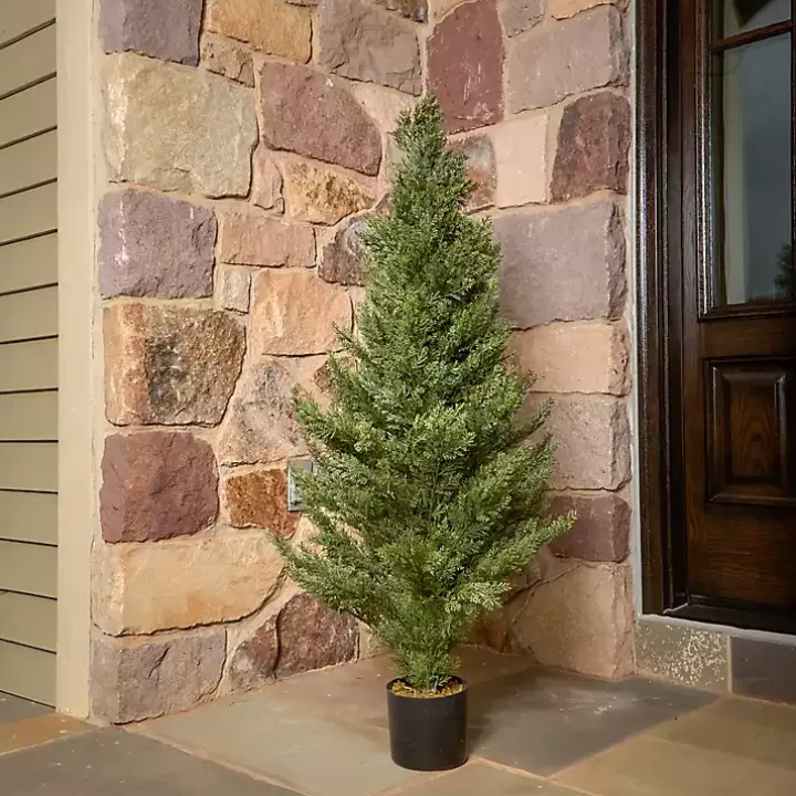 Potted Arborvitae Christmas Tree