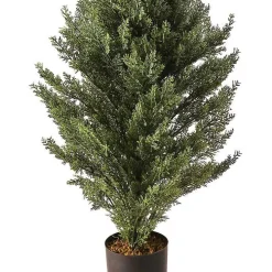 Potted Arborvitae Christmas Tree