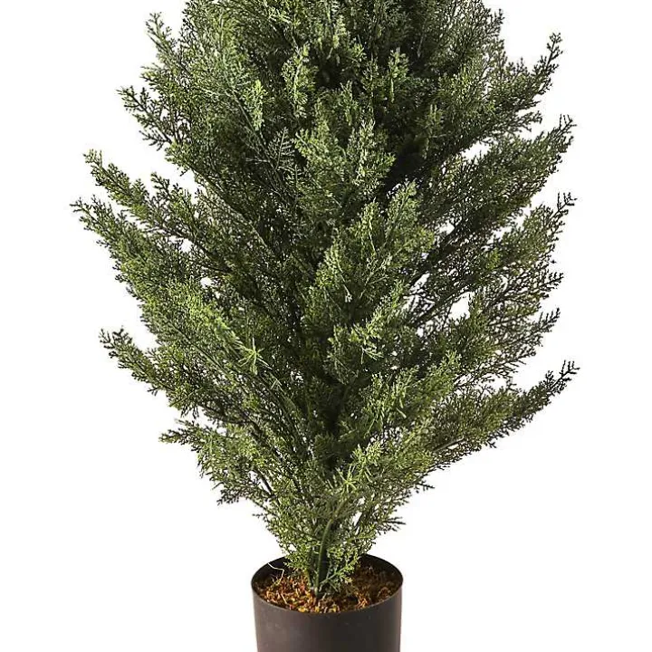 Potted Arborvitae Christmas Tree