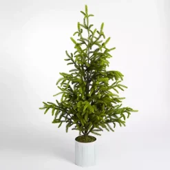 Potted Norway Spruce Christmas Tree, 60 in.