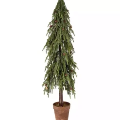 Potted Soft Touch Norfolk Pine Tree, 48 in.