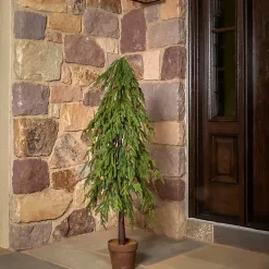 Potted Soft Touch Norfolk Pine Tree, 48 in.