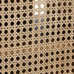 Reclaimed Pine and Woven Cane Cabinet