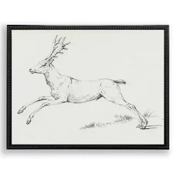 Reindeer Sketch Framed Art Print