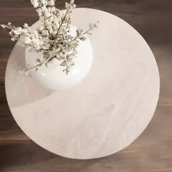 Round Whitewashed Wood Dani Accent Table