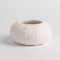 Salt and Driftwood Sea Urchin Jar Candle
