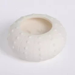 Salt and Driftwood Sea Urchin Jar Candle