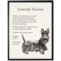 Scottish Terrier Facts Framed Wall Plaque