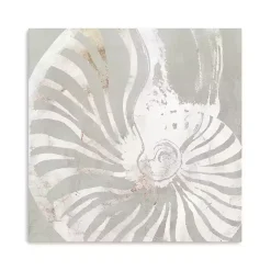 Seashell Close Up Canvas Art Print