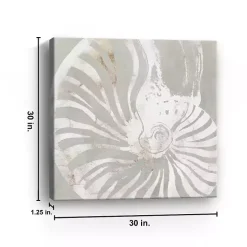 Seashell Close Up Canvas Art Print