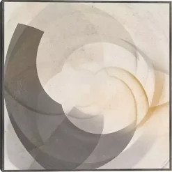 Shadow Swoop Framed Canvas Art Print