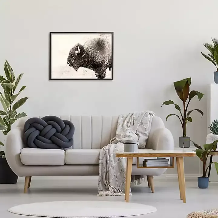 Shaggy Buffalo Black Framed Canvas Art Print