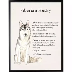 Siberian Husky Facts Framed Wall Plaque