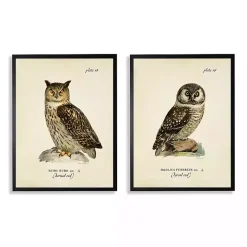 Sitting Owls Black Framed Art Prints, Set of 2