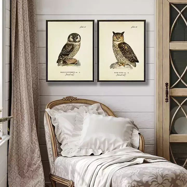 Sitting Owls Black Framed Art Prints, Set of 2