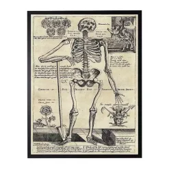 Skeleton Poster Framed Halloween Wall Plaque