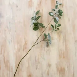 Snowy Eucalyptus Stems, Set of 3