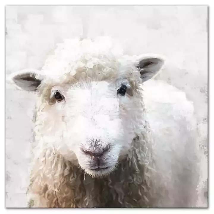 Soft Painted Sheep Canvas Art Print