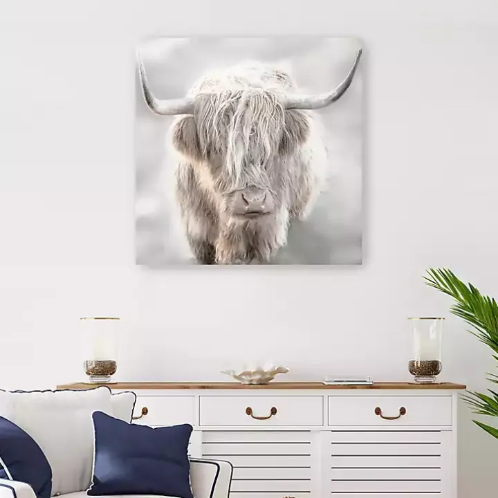 Soft Solo Highland Giclee Canvas Art Print