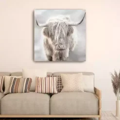 Solo Highland Cow Canvas Art Print, 40x40
