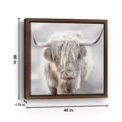 Solo Highland Cow Framed Canvas Art Print, 40x40