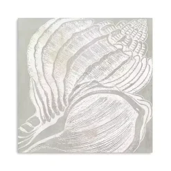 Spiral Seashell Close Up Canvas Art Print