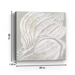 Spiral Seashell Close Up Canvas Art Print