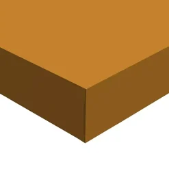 Spooky Black Cat Canvas Art Print