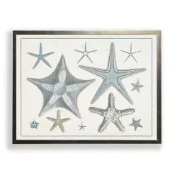 Starfish Collage Bronze Framed Art Print