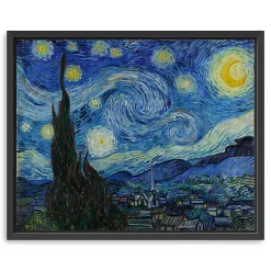 Starry Night Framed Canvas Art Print, 18x22