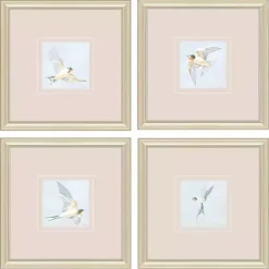 Swift Birds Framed Art Prints, Set of 4