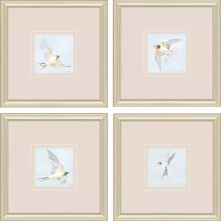Swift Birds Framed Art Prints, Set of 4