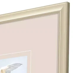 Swift Birds Framed Art Prints, Set of 4