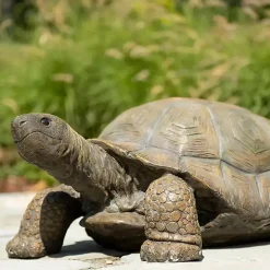 Tortoise Statue