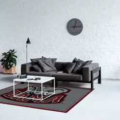 University of Alabama Area Rug, 4x6