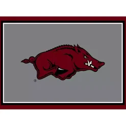 University of Arkansas Area Rug, 4x6