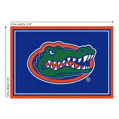 University of Florida Area Rug, 3x4
