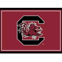 University of South Carolina Area Rug, 3x4