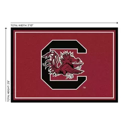 University of South Carolina Area Rug, 3x4