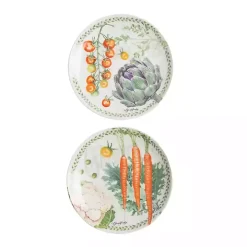Vegetable Garden Salad Plates, Set of 4