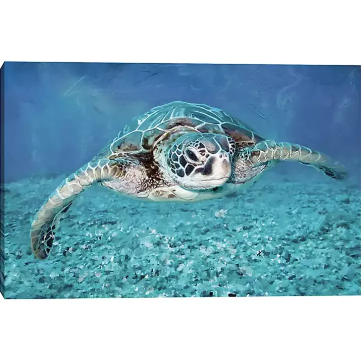 Vibrant Sea Turtle Canvas Art Print