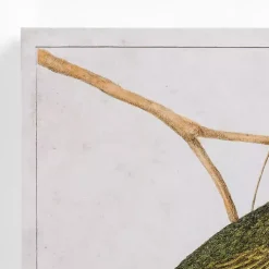 Vintage Birds Canvas Art Prints, Set of 2