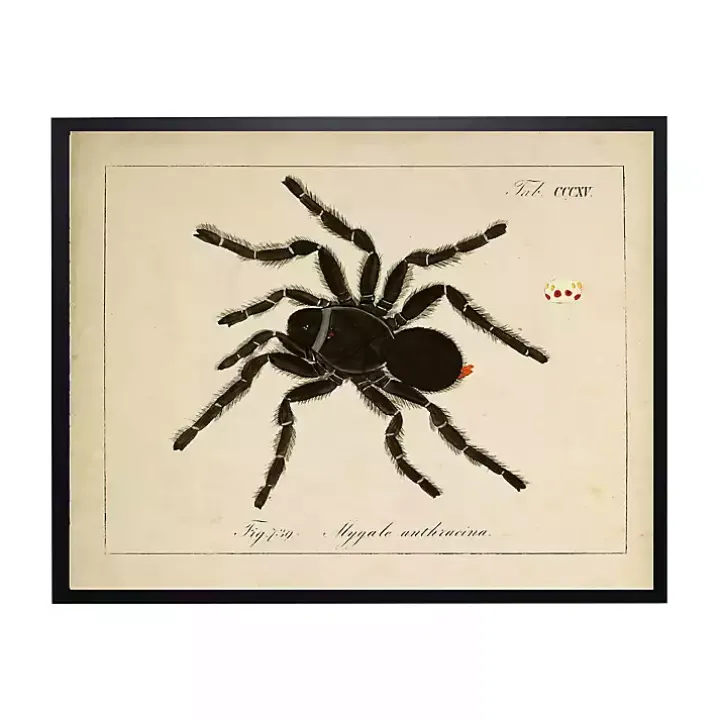 Vintage Black Spider Halloween Wall Plaque