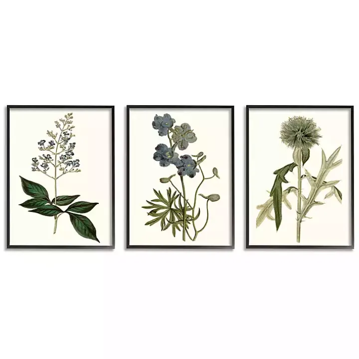 Vintage Blue Flowers Framed Art Prints, Set of 3