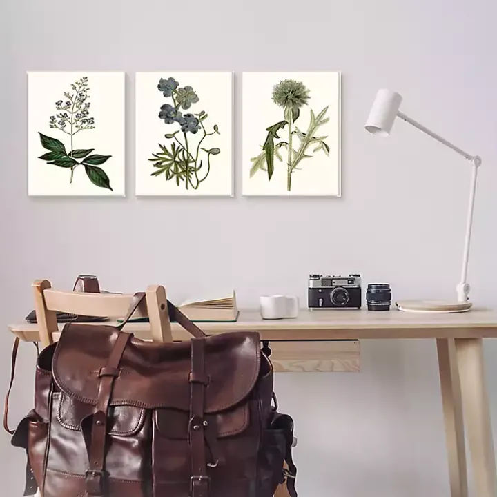 Vintage Blue Flowers Framed Art Prints, Set of 3