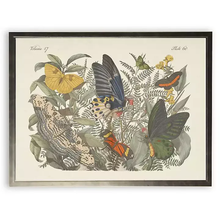 Vintage Butterfly Bookplate Framed Art Print